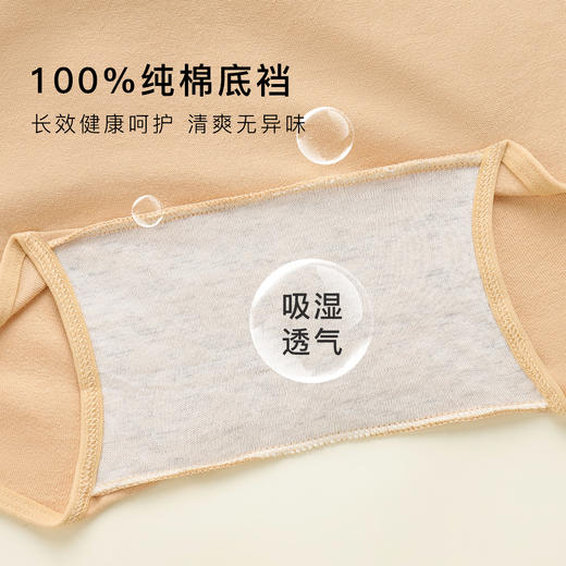 【4条装】安全裤打底裤二合一平角防走光内裤女100%纯棉裆7997棉质平角内裤4条装 商品图3