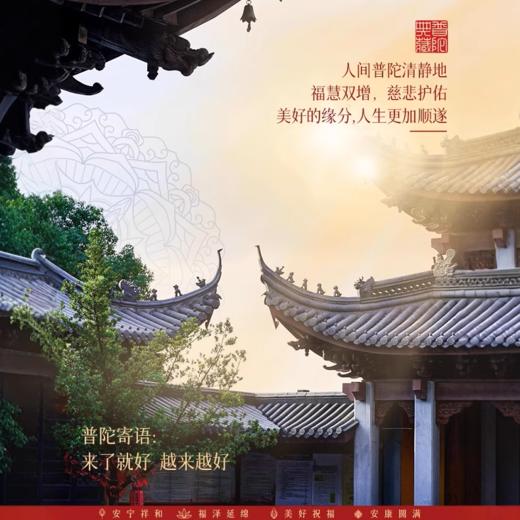 【普陀山】水晶净化消磁碗配天然白水晶 桌面摆件手链收纳盒 商品图6