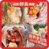 桂柳【会员秒杀】~散养老母鸡 商品缩略图0