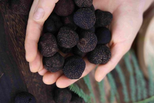 D 牛肉酱/手工熬制，不含添加剂防腐剂，超好吃又巨健康的牛肉酱【4.10截单】 商品图10