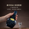 53度珍酒·老珍酒 500ml 单瓶 商品缩略图2