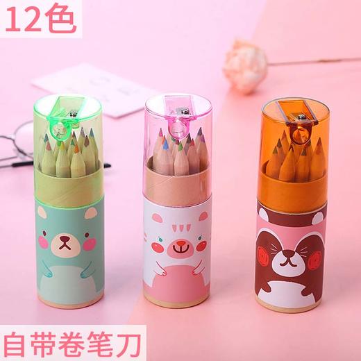可爱小熊12色彩铅儿童绘画涂色笔彩色笔学生礼物卡通文具涂鸦铅笔 55g 商品图0