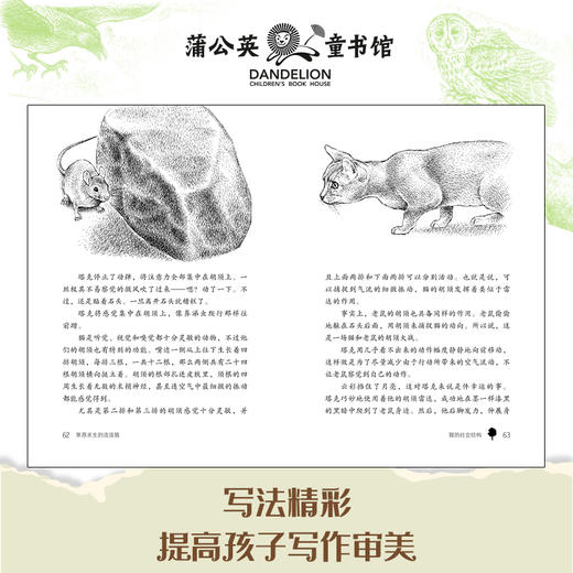 【图书】《世界动物小说》6册 商品图2