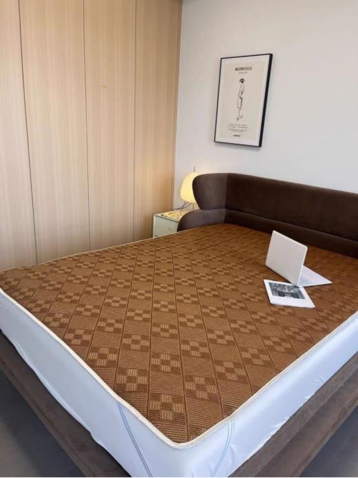 😎【双面可用 酷暑必备】多功能四季款加厚双面两用冰藤席软垫🥰 这款藤席是你很好的选择，🔥用料天然，健康环保！ ✅ 冰藤面料，光滑无毛刺，夏季清凉不黏腻☺️，瞬间降温 凉而不冰 一席多用！ 商品图1