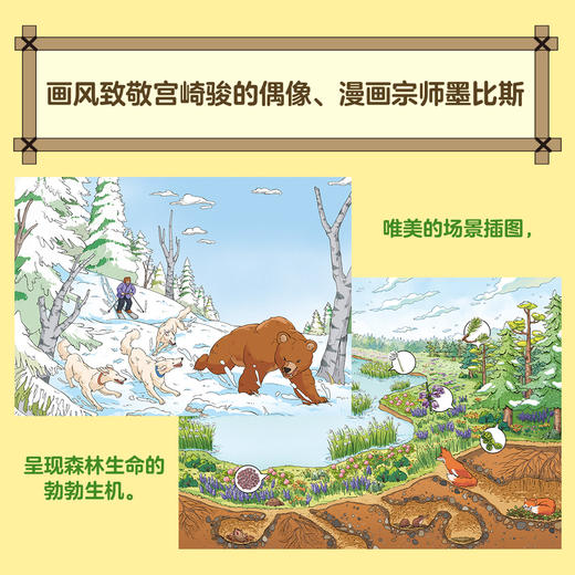 【图书】《森林报》12册套装 | 7-12岁 商品图3