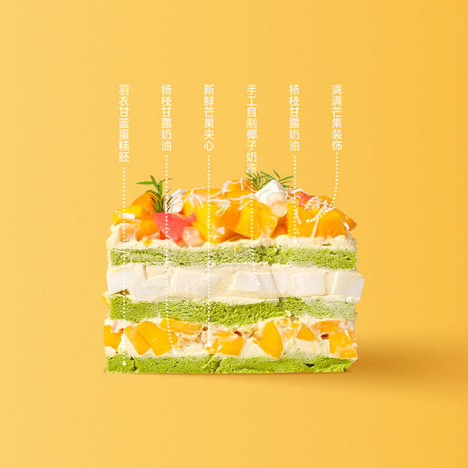 杨枝芒芒 商品图1