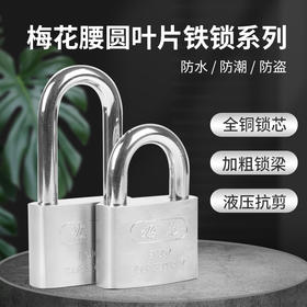 【多型号】大圆角叶片锁非不锈钢挂锁储物柜锁学生宿舍锁防盗子母锁/个