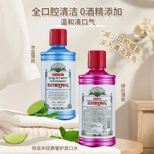 悦滋木经典漱口水清除口腔异味清洁全口腔0酒精冰薄荷绯红薄荷 商品图0