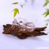 【代代荣归】白水晶双龙龟摆件   ZX2505159 商品缩略图2
