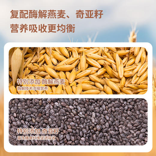 【新品】怀生堂150g铁棍山药粉，垆土山药配方升级款。每盒150g（15g*10条装） 商品图2