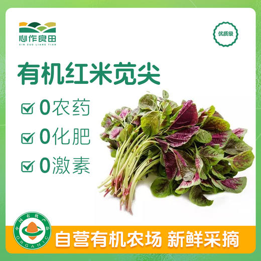 有机红米苋尖 500g 商品图0