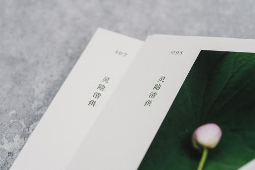 《灵隐清供》灵隐寺108道素食 制作方法公布 商品图7