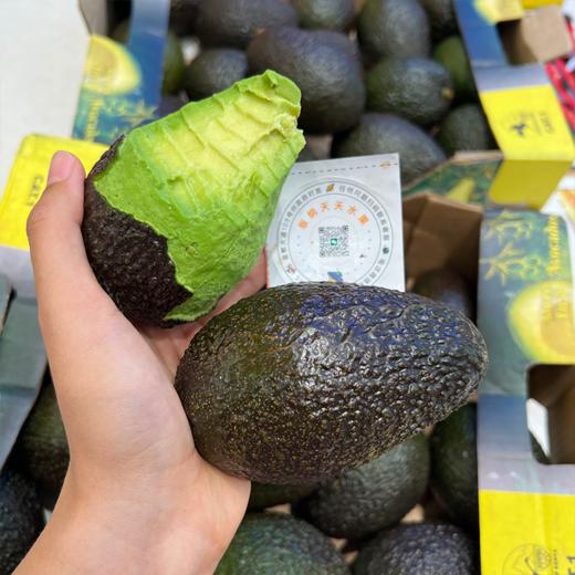 进口牛油果 商品图5