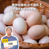 生态河北鸡蛋  | 合作生产 * Ecological Eggs | Coproduction 商品缩略图0