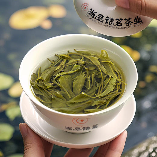 【尚品德茗-正】英德绿茶-鸿雁十二号绿茶 商品图5