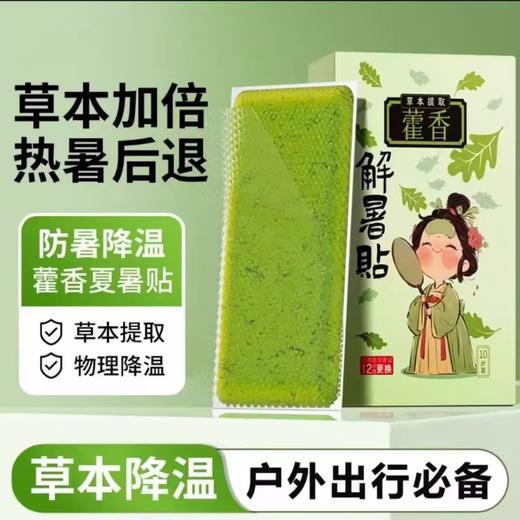【醒粉福利14.9元5袋】【外出必备】藿香解暑贴 5包/10包 商品图2