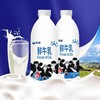 新疆天润鲜牛乳950Ml/瓶低温纯牛奶巴氏杀菌鲜牛奶儿童成人营养早餐奶 商品缩略图1