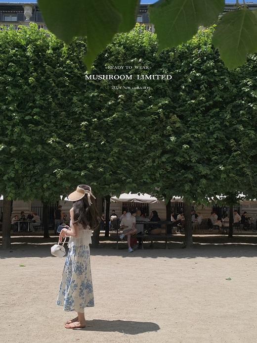 金蘑菇菇 Santa Maria Novella阿芙洛 / 治愈系 蕾丝top+青花半裙 商品图3