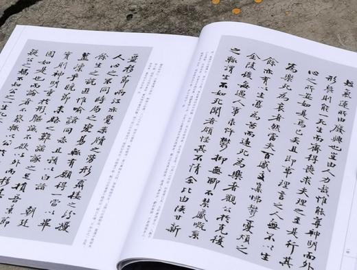 绝版罕见：《左宗棠书法精粹》，16开平装，张金中主编，湖南人民出版社2013年一版一印，101页，售价58元。 商品图3