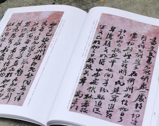 绝版罕见：《左宗棠书法精粹》，16开平装，张金中主编，湖南人民出版社2013年一版一印，101页，售价58元。 商品图9