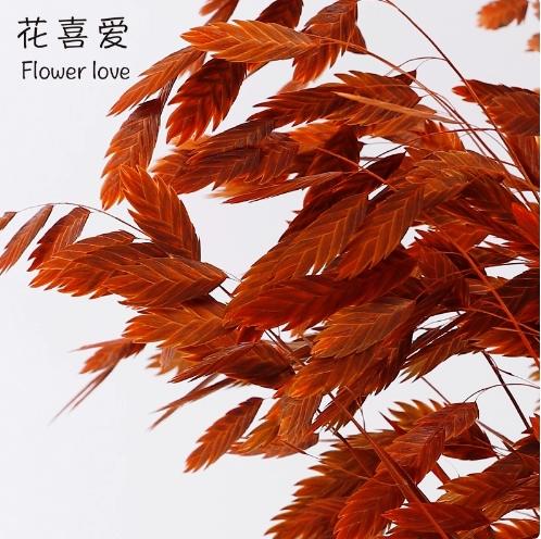 永生花小盼草 商品图3