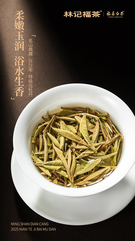 名山典藏·白牡丹2025·收藏装520g(260g*2) 商品图7
