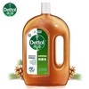 滴露消毒液1.2L(E2-02-01) 商品缩略图0