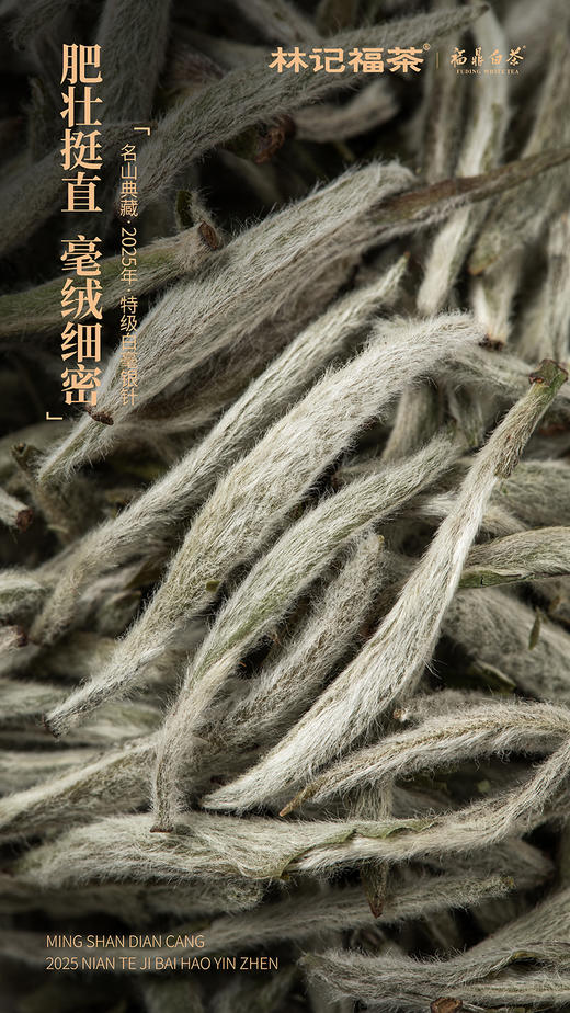 名山典藏·白毫银针2025·收藏装520g(130g*4) 商品图6