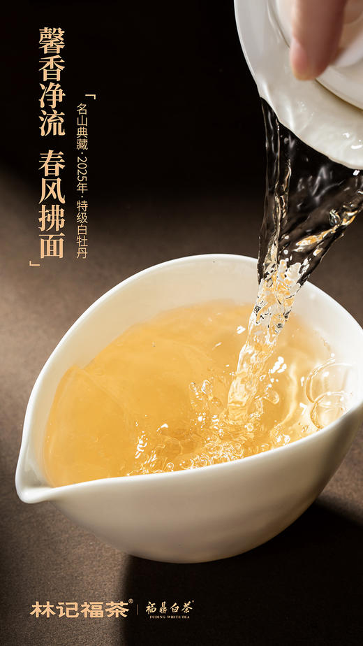 名山典藏·白牡丹2025·收藏装520g(260g*2) 商品图9