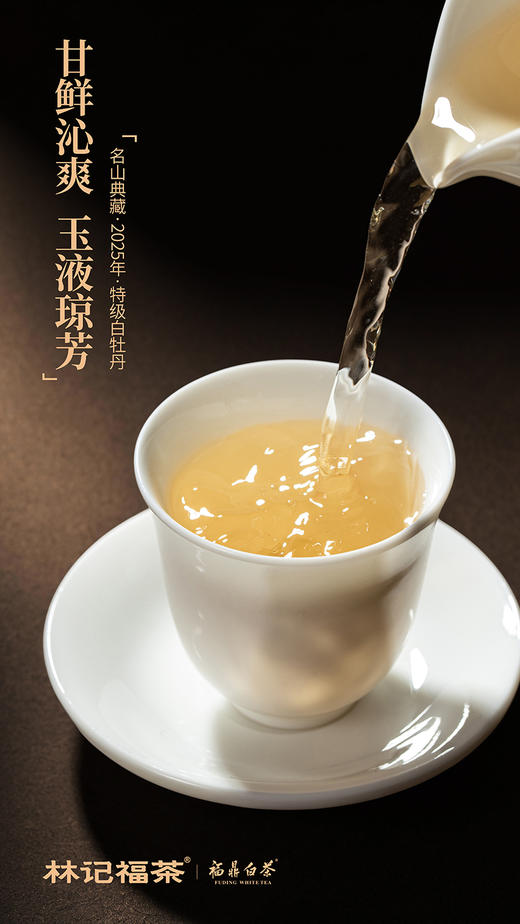 名山典藏·白牡丹2025·收藏装520g(260g*2) 商品图8