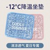 清仓热卖【9.9抢德国黑科技冰晶坐垫】夏天多场景冰感降温 坐垫/沙发垫/睡垫/汽车垫 稳定冷感因子 耐磨防水 可折叠揣兜走 商品缩略图0