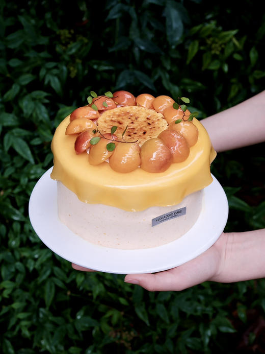 【杏子烤布蕾】精选新疆空运吊干杏、一年仅30天的赏味期 商品图0