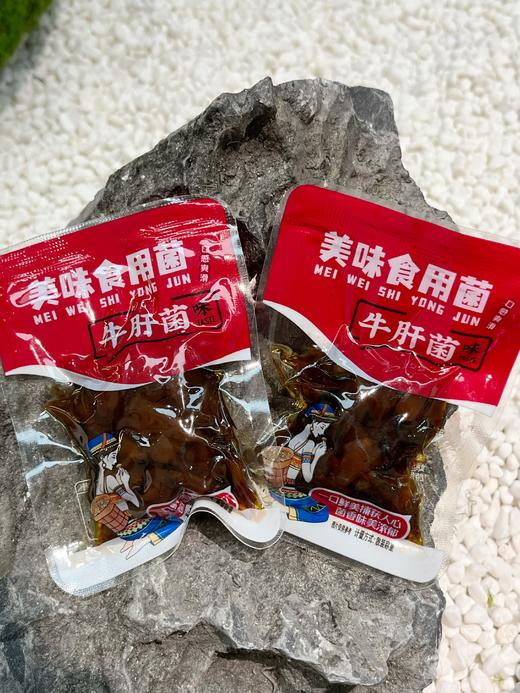 【2.8-2.24不发】🍄不止鲜掉眉毛！云南菌子另有“心机”💰29.9 一箱500g【傣乡园 美味食用菌】22年云南老品牌，登榜《新闻联播》❗一口下去直击灵魂❗嚼劲十足，鲜香四溢！ 商品图4