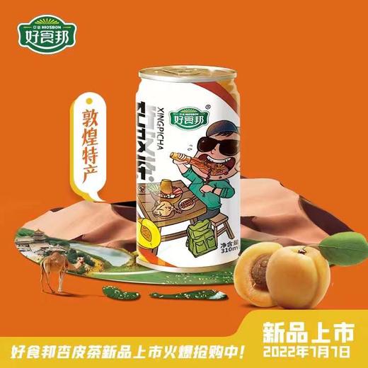 【甘肃农垦】亚盛好食邦 黄芪杏皮茶 248mlx8瓶 商品图2