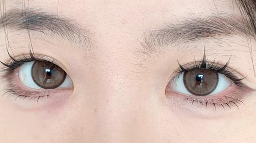 secretcon半年抛美瞳 奶油棕褐 14.2mm 商品图0