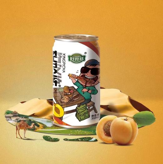 【甘肃农垦】亚盛好食邦 黄芪杏皮茶 248mlx8瓶 商品图0