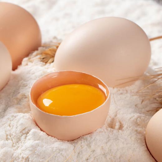 阳光蛋仔无菌蛋 含叶黄素DHA硒元素 800米高山生态 可生食生态富硒蛋30枚 商品图4