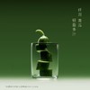 喜茶羽衣甘蓝青瓜复合果蔬汁饮料330mLx12 商品缩略图1