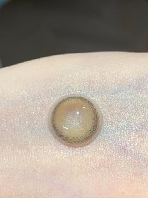 Huohuocon旗下  猫咪创世纪  14.5mm白狮参考着色待测 半年抛 商品图1