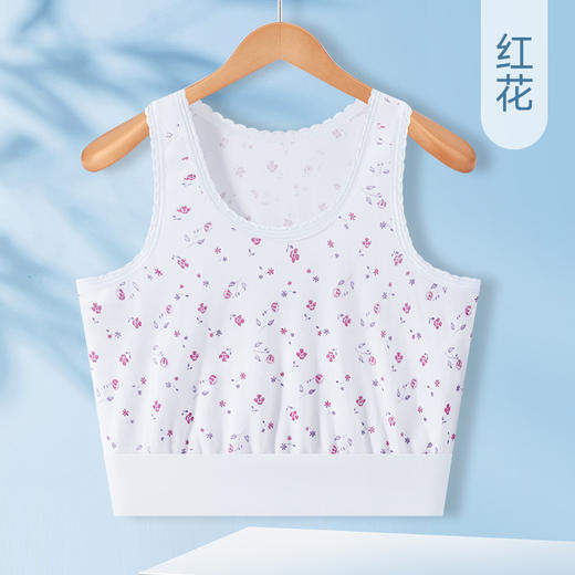 雀说 【3条】中老年汗衫纯棉老太太背心式内衣 商品图8