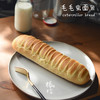 毛毛虫 商品缩略图0