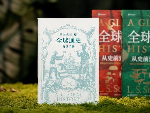 《全球通史：从史前到21世纪》(上下全2册）赠：历史思维导读手册+北大限定书签， 商品图6