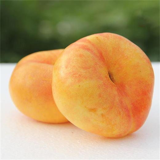 【臻选好果】彩虹黄金油蟠桃4.5-5斤   顺丰发货 产地山东蒙阴 商品图8