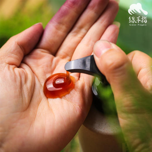 侧柏草本洗发水 | 合作生产*Cypress Herbal Shampoo | Partner Production 商品图2