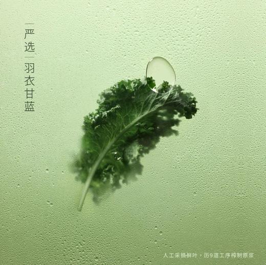 喜茶羽衣甘蓝青瓜复合果蔬汁饮料330mLx12 商品图6