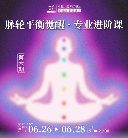 2025年平衡芳疗年度课程第六期——剖析七轮与能量身心灵的互动原理 商品图0