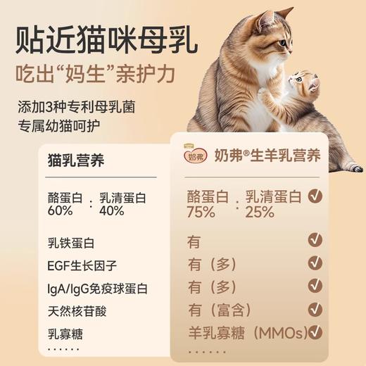 麦富迪奶弗奶糕幼猫粮正品全价成猫羊奶鲜肉 商品图2
