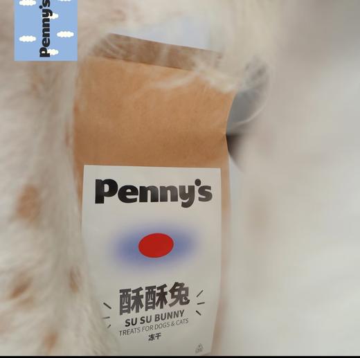 PENNY'S班尼食物研究所零食大合集 商品图1