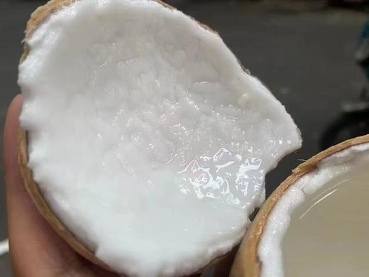 东泰国宝椰皇 商品图1