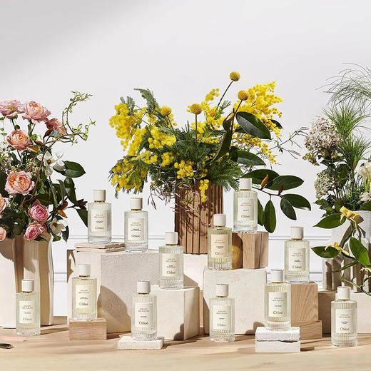 【巨折！人间仙气！】Chloe/蔻依仙境花园系列-北国雪松香水 50ml EPD 木质香 商品图2